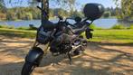 Honda MSX 125 SF 2016, Motoren, Motoren | Honda, Particulier