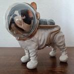 Franse bulldog/astronaut., Gebruikt, Ophalen of Verzenden, Dier