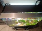 Aquarium complet avec meuble neuf beaucoup d'options, Enlèvement, Neuf, Aquarium d'eau douce rempli