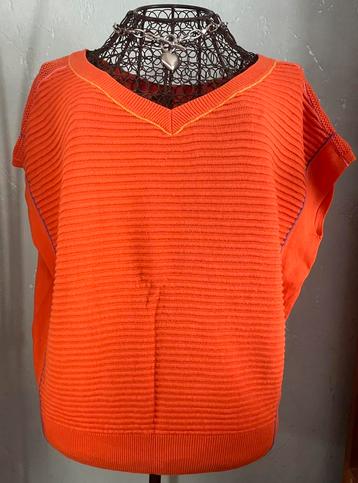Caroline Biss 38 Mooi fijn vlinder model tricot truitje beschikbaar voor biedingen