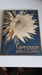 prentenboek cactussen met Verkade plaatjes 1931, Boeken, Prentenboeken en Plaatjesalbums, Ophalen of Verzenden, Gelezen, Prentenboek