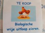biologische eieren 2euro per 6stuks, Dieren en Toebehoren, Ophalen, Zo goed als nieuw