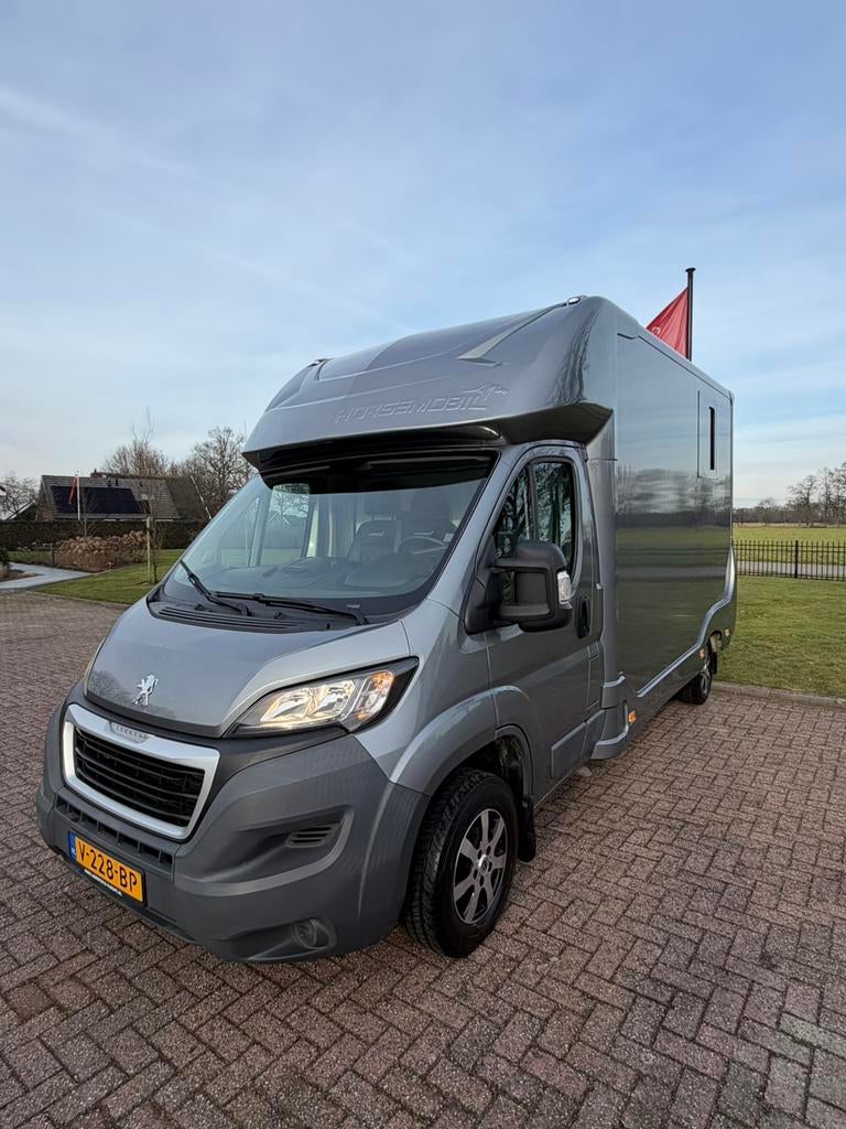 Prachtige Peugeot Paardencamionette - 2016 - 56.000M!, Dieren en Toebehoren, Paarden en Pony's | Trailers en Aanhangwagens, Zo goed als nieuw