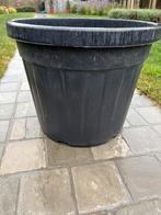 Bloempot harde plastiek - boompot, Ophalen, Zo goed als nieuw
