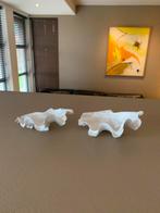 Witte schelpen, Enlèvement, Coquillage(s)