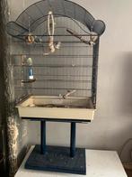 7 grasparkieten met ruime kooi, Dieren en Toebehoren, Vogels | Parkieten en Papegaaien