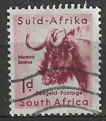 Zuid-Afrika 1954 - Yvert 202 - Gnoe  (ST) beschikbaar voor biedingen