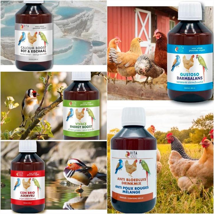 Vita Vogel Supplementen ( Wij zijn OPEN op zondag ), Dieren en Toebehoren, Dierenvoeding, Ophalen