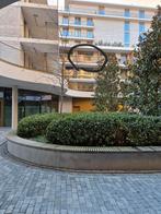 Groot studio appartement te Regatta Linkeroever, Dieren en Toebehoren, Vogels | Kanaries