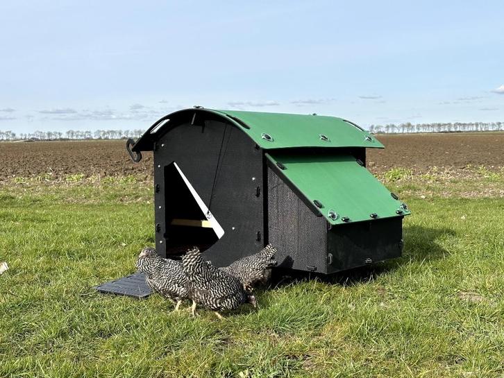 Kunststof Kippenhok - Nestera Medium Grondmodel, Dieren en Toebehoren, Pluimvee | Toebehoren, Nieuw, Kippenhok of Kippenren, Ophalen of Verzenden