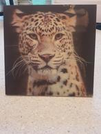 Cadre holographique portrait d'un guepard 5e, Utilisé, Enlèvement ou Envoi