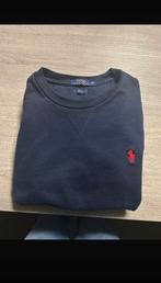 Polo Ralph lauren slim fit trui, Ophalen, Zo goed als nieuw, Maat 48/50 (M)