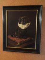 Kleine kader hond, Ophalen, 50 tot 75 cm, Zo goed als nieuw, 50 tot 75 cm
