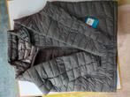 Colombia Pofjas heren XL, nieuw, Vêtements | Hommes, Blousons sans Manches, Enlèvement ou Envoi, Neuf