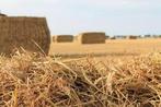 Gezocht stro af land