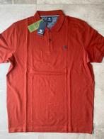 Lerros - Bordeaux polo. Maat L. Nieuw met label., Nieuw, Maat 52/54 (L), Ophalen of Verzenden, JBC