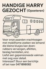 Gezocht handige harry voor paardenvrachtwagen