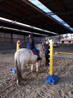 Hippotherapie paard gezocht, M