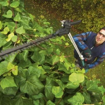 TAILLE-HAIE disponible aux enchères