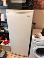 Diepvries te koop, Enlèvement, Utilisé