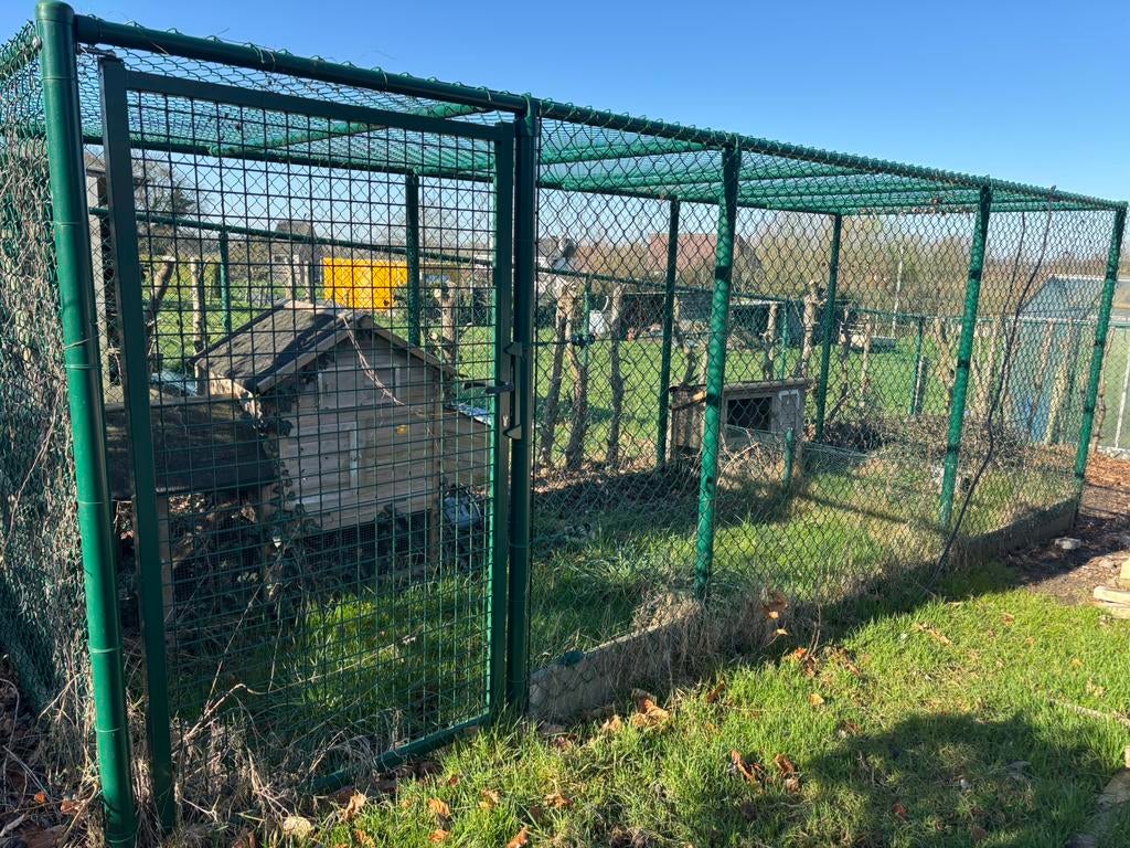 Poulailler en fil de fer recouvert, Animaux & Accessoires, Enlèvement, Comme neuf