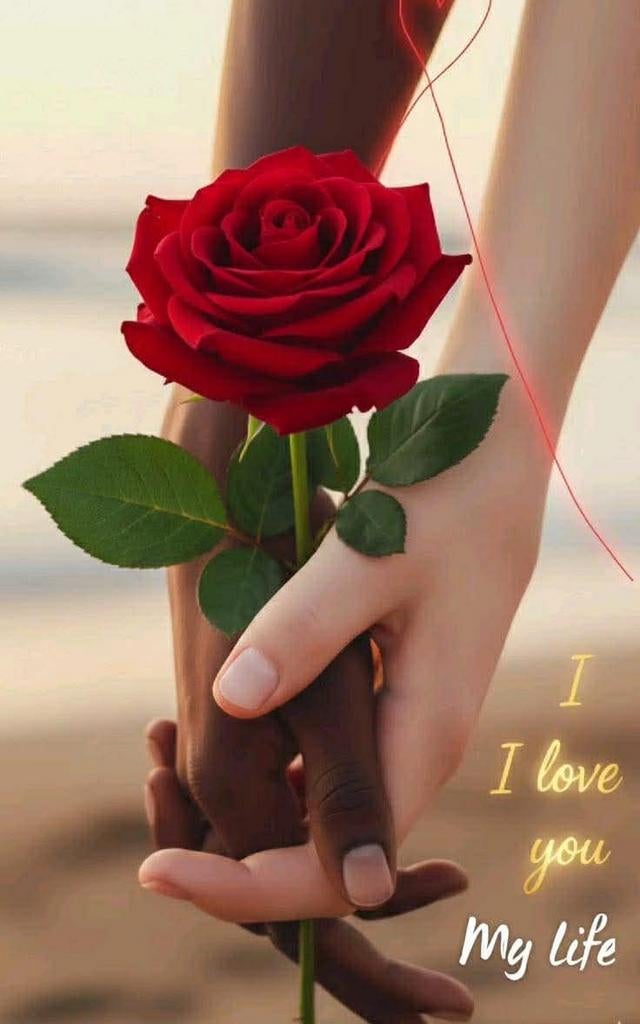 Op zoek naar een leuke ontmoeting