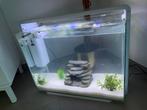 Aquarium superfish home 80l, Enlèvement, Comme neuf