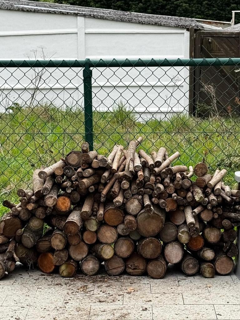 Brandhout, Enlèvement