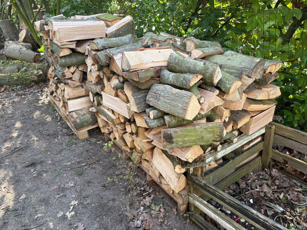 Brandhout zuivere eik prijs per kubieke meter, 3 à 6 m³, Enlèvement, Chêne, Bûches