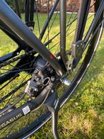 Te koop: Pegasus Evo 5 F Abs, 59 cm ou plus, Enlèvement, Comme neuf, Autres marques