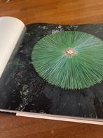 Boek Daniel ost, Enlèvement