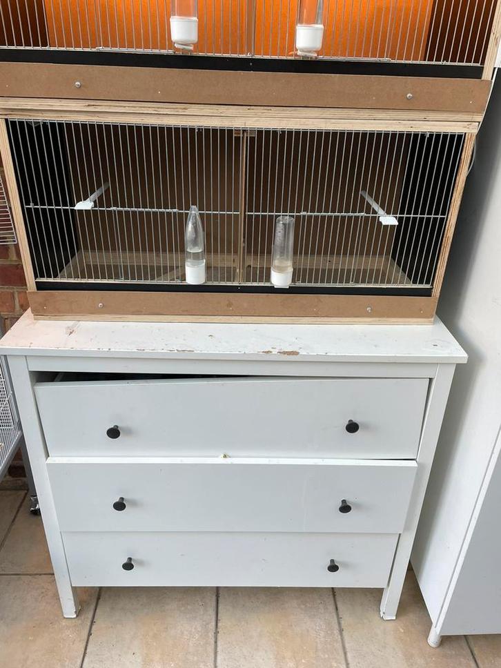 Te koop kweek kooi gemaakt uit betonplexplaat van 18 nn dik, Dieren en Toebehoren, Vogels | Kanaries