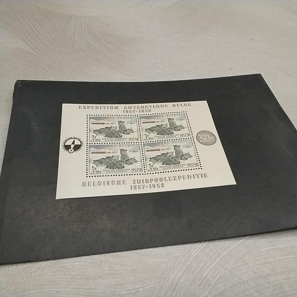 BELGIE blok 31 postfris met cote 180,00 €, Ophalen of Verzenden, Postfris