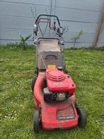 Queen garden, Enlèvement