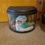 aquarium, Enlèvement