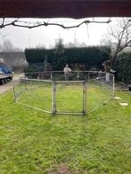 Dieren ren, Dieren en Toebehoren, Ophalen, Ren