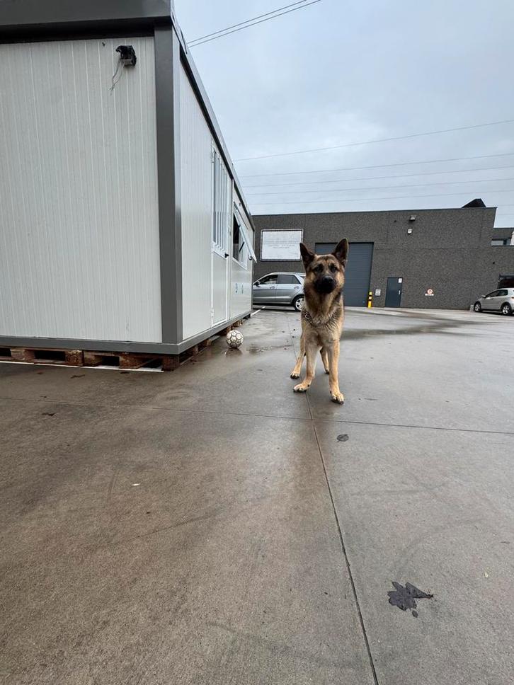 Stockage-/opslagruimte te huur in St-Niklaas, Zakelijke goederen, Bedrijfs Onroerend goed, Huur