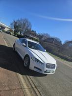 Jaguar XF 2.2 Diesel automatique — 2014, Euro 5, Achat, Entreprise, Capteur de lumière