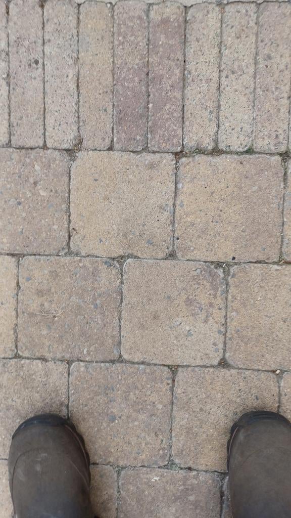 Klinkers: (overschot) niet gebruikt.Bieden, Enlèvement, Briques