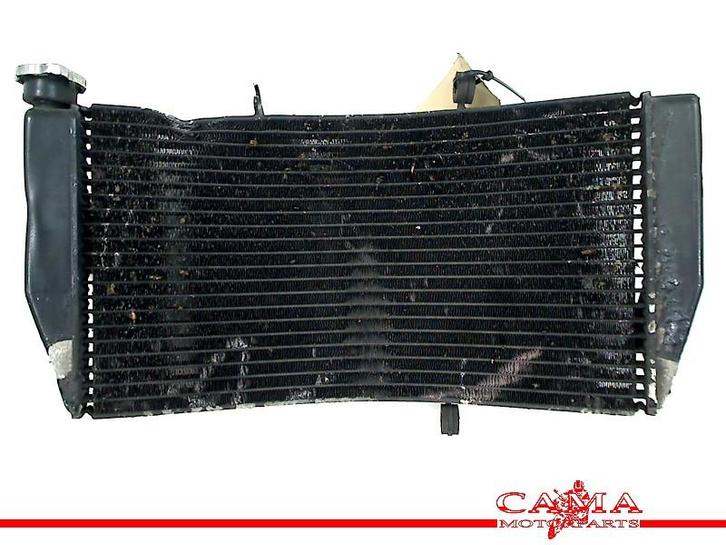 RADIATEUR CBR 954 RR Fireblade 2002-2003 (CBR900RR SC50), Motoren, Onderdelen | Honda, Gebruikt