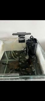 Aquarium, Dieren en Toebehoren, Ophalen