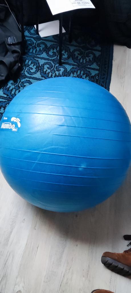 zitbal 75cm, Sport en Fitness, Yoga en Pilates, Ophalen, Zo goed als nieuw, Overig