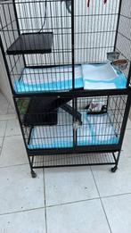 Een kooi voor knaagdieren, Animaux & Accessoires, Rongeurs & Lapins | Accessoires, Enlèvement, Neuf, Autres types
