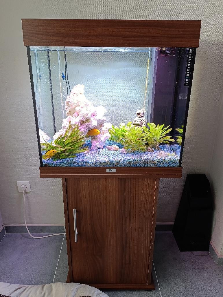 Maakt een aquarium van 125 liter, Ophalen, Inclusief vissen, Juwel, Gevuld zoetwateraquarium