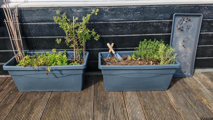 2 grote plantenbakken met planten – klaar voor gebruik, Tuin en Terras, Bloembakken en Plantenbakken, Zo goed als nieuw, Overige materialen