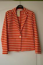 Gilet, marque Michael Kors, NEUF, taille S, Neuf, Michael Kors, Autres couleurs, Taille 36 (S)