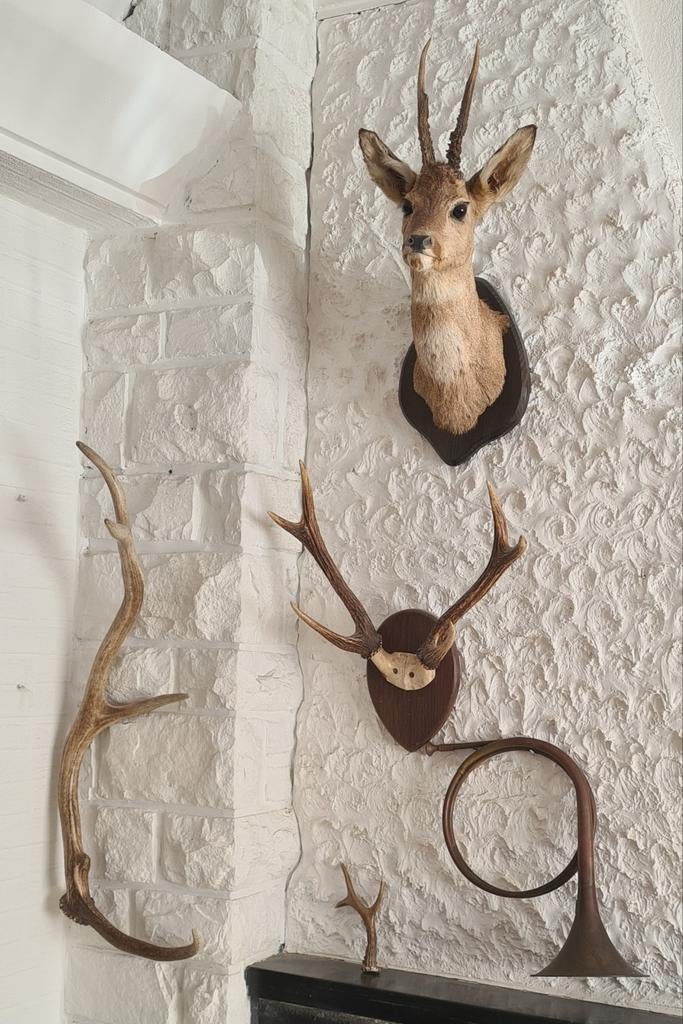 Lot décoration murale rustique vintage, Collections, Collections Animaux, Enlèvement