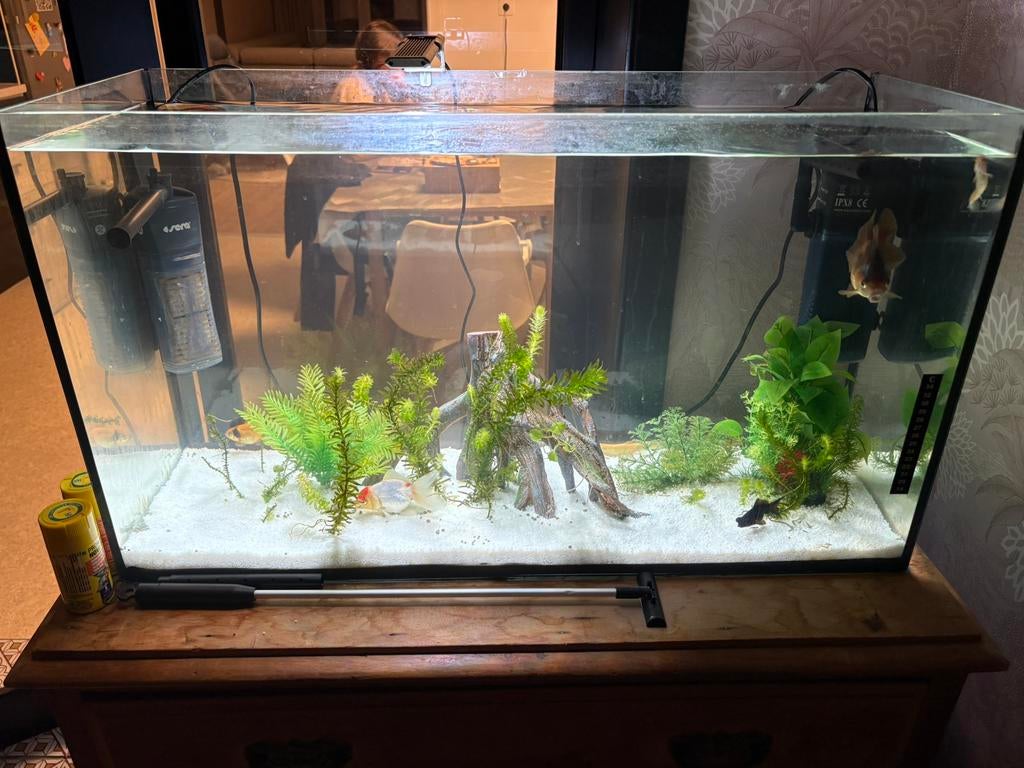 Aquarium + vis, Animaux & Accessoires, Poissons | Aquariums & Accessoires, Comme neuf, Decoratie, Enlèvement