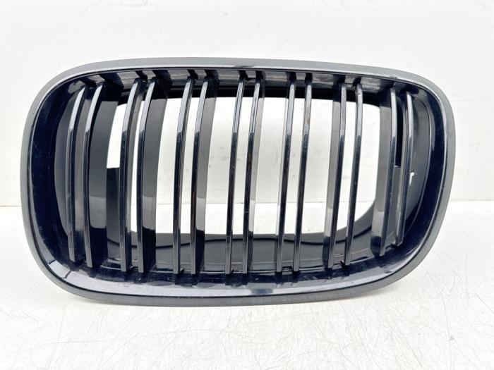 Calandre d'un BMW X5 (475), Autos : Pièces & Accessoires, Carrosserie & Tôlerie, BMW, Utilisé, 3 mois de garantie, Enlèvement ou Envoi