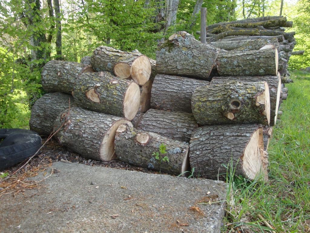 bois de chauffage, Enlèvement, Aulne